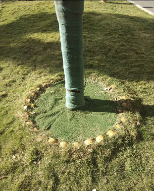 动物主题点缀